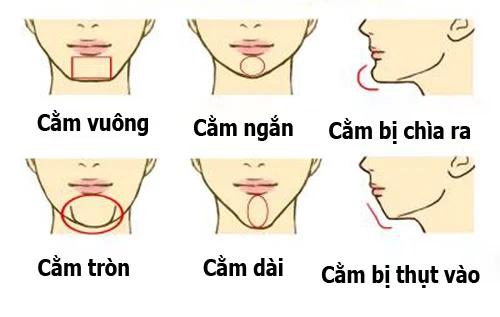 Phân loại hình dáng cằm và tính cách tương ứng